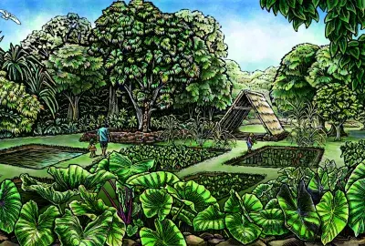 Painting of a lo'i (kalo/taro farm) with large green kalo leaves among other lush greenery (plants and trees), with a man and young girl holding hands, a farmer near a Hawaiian hale (thatched roof house), and Manu o Kū (white terns) flying across blue sky