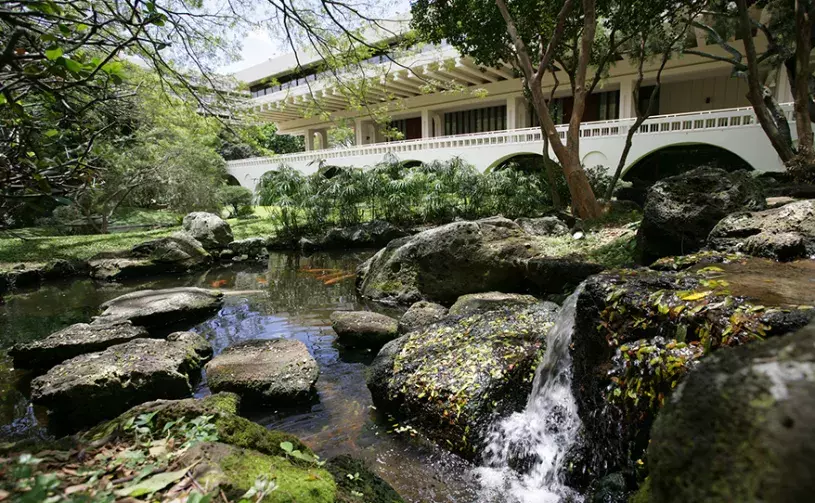 Japanese garden - koi