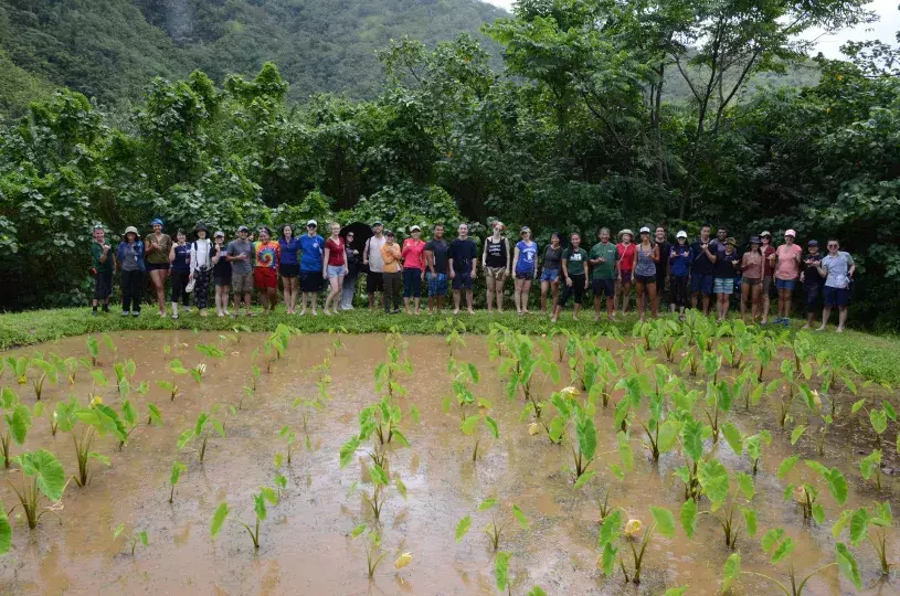 EWC students visit a taro patch on the north shore of O'ahu